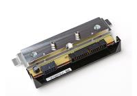 YAZICI KAFASI (head)